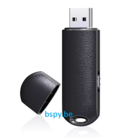USB Stick audiorecorder_1